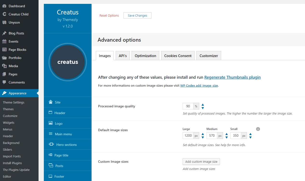 Creatus WordPress Theme Advanced options